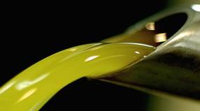L'olio extravergine di oliva e Sagrantino